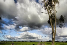 开云2026-遥远的共振，当伯纳乌遇见TD花园，沸腾的肾上腺素不辨东西